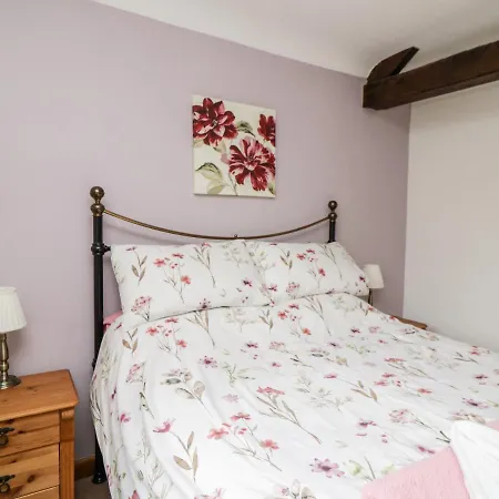 Lavender Пенрит